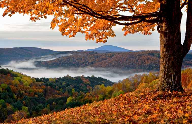 Camping de otoño en Vermont / Vermont