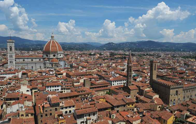 Aeropuerto de Florencia y traslados a la estación de tren de Florencia / Italia