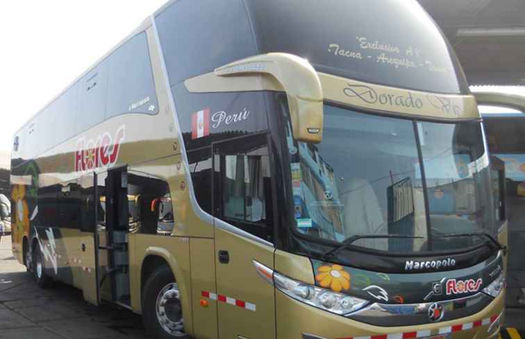 Perfil de la empresa de autobuses de Flores Perú / Perú