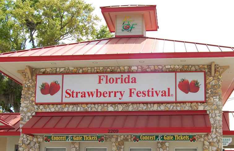 Florida Strawberry Festival 2018 / Florida