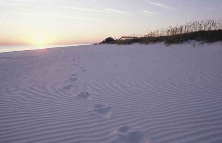 Florida's Coasts Going Coastal / Florida