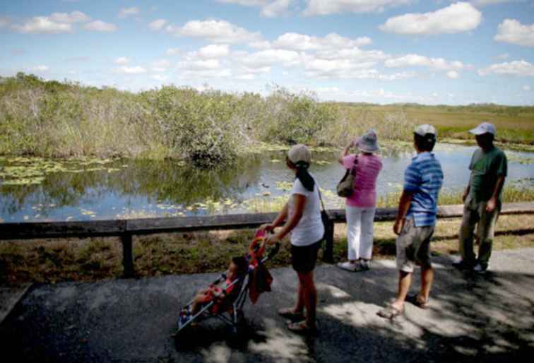 Nationaal park Everglades in Florida met kinderen / Florida