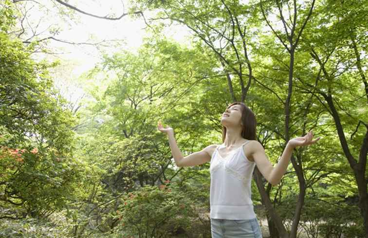 Forest Bathing / Spas