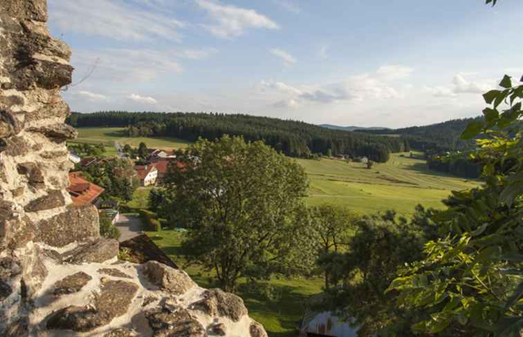 Forêt de verre dans les montagnes au-delà de Munich / Allemagne