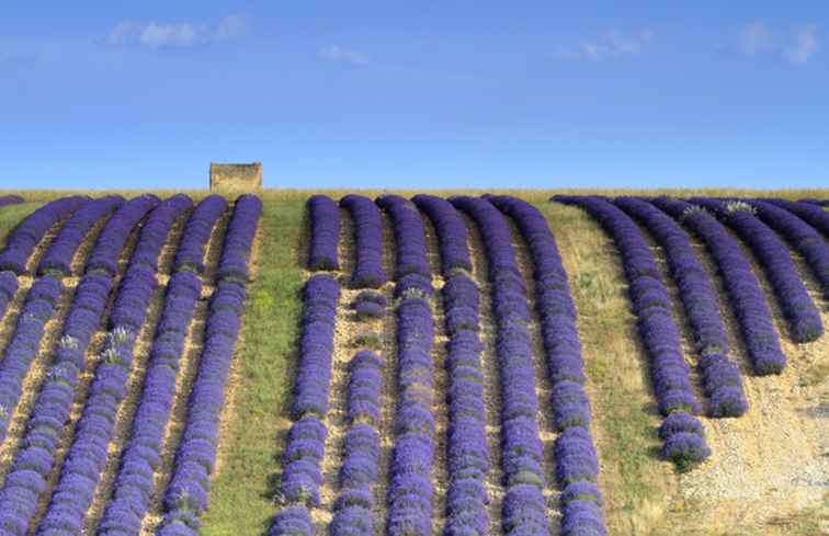 Französische Driving Routes und Scenic Road Trips / Frankreich