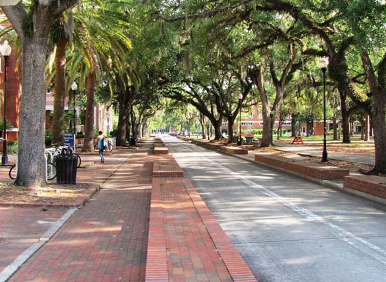 Meteo Gainesville / Florida