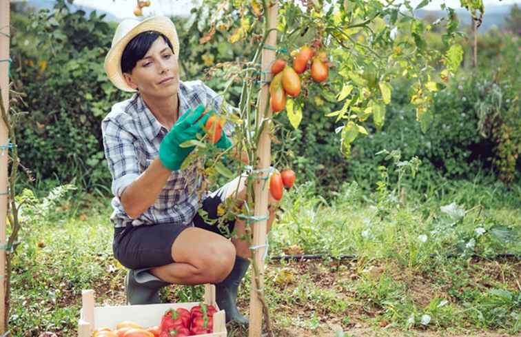 Tuinieren en planten Agenda voor Little Rock / Arkansas