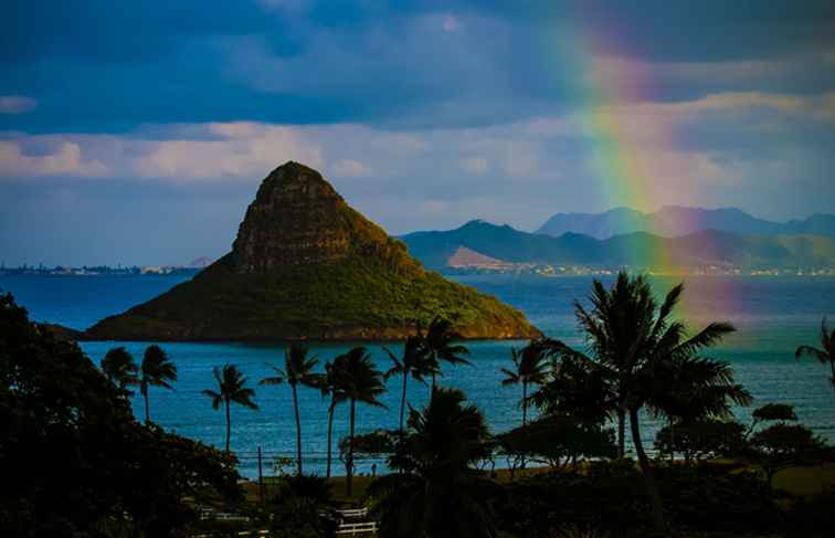 Viaje gay y lésbico en Hawaii / Hawai