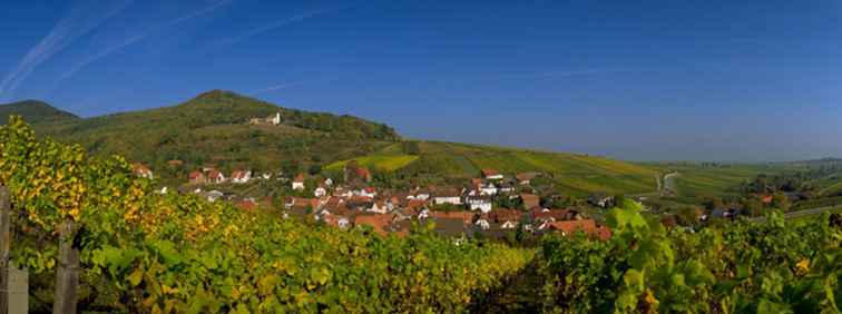 Strada del vino tedesca / Germania