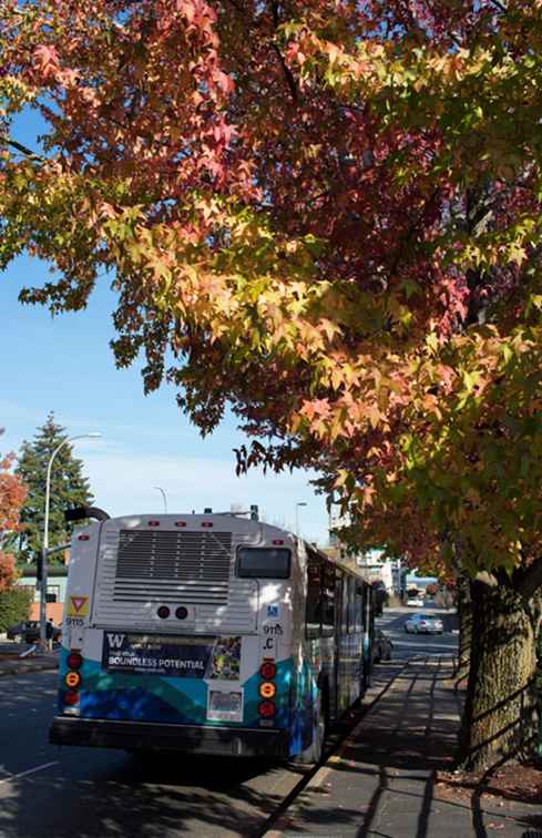 Rondreizen Seattle-kaarten, transport, verkeer en meer / Washington