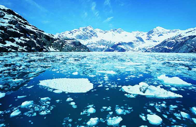 Glacier Bay-Nationalpark und Konserve, Alaska