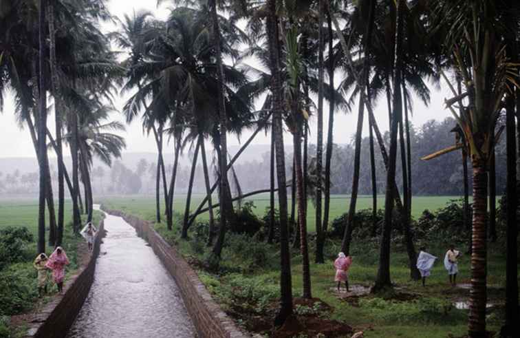 Goa dans la saison de la mousson Guide du visiteur essentiel / Goa