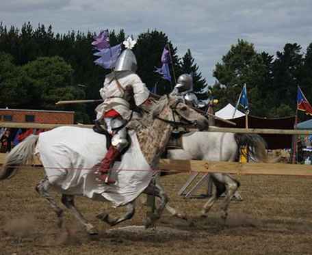 Great Lakes Medieval Faire in Ohio / Ohio