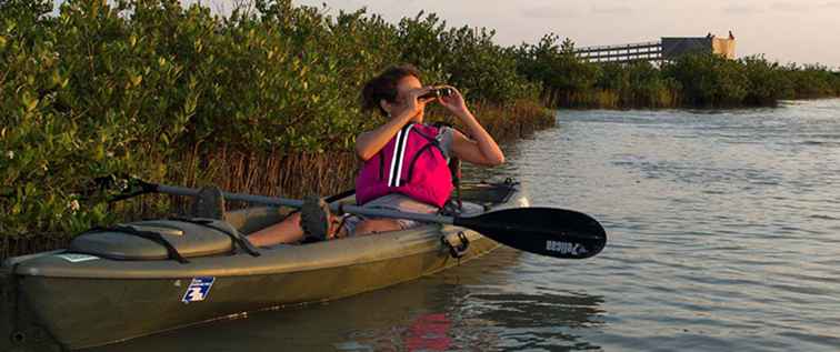 Stora Texas Birding och Wildlife Trails / Texas