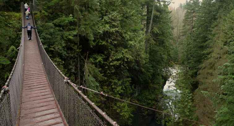 Guide till Lynn Canyon Park & ​​Suspension Bridge i Vancouver, BC / Vancouver