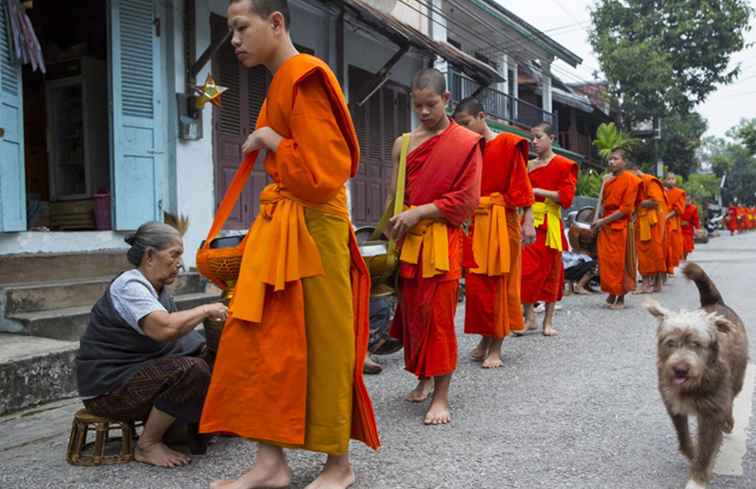 Führer zu Tak Bat Morgen Almosen geben Zeremonie in Laos