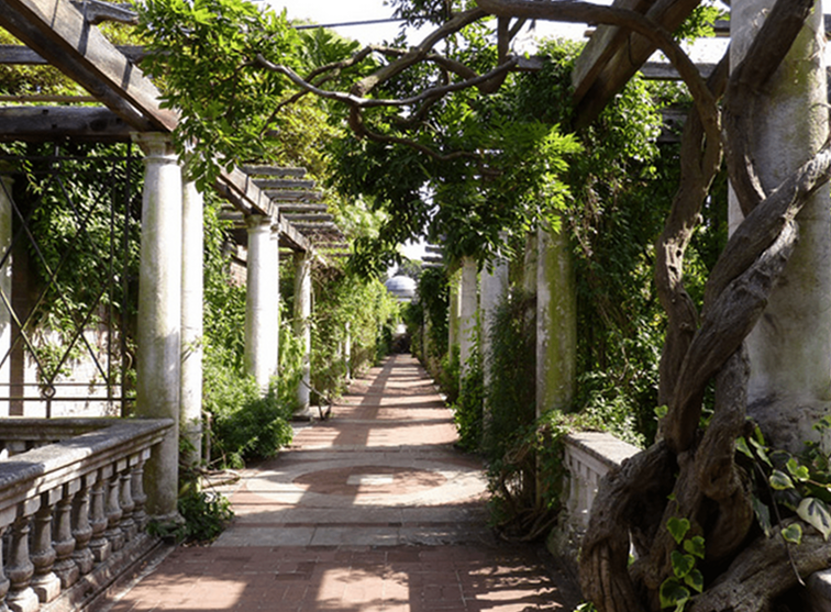 Hampstead Heath Hill Garden en Pergola / Engeland