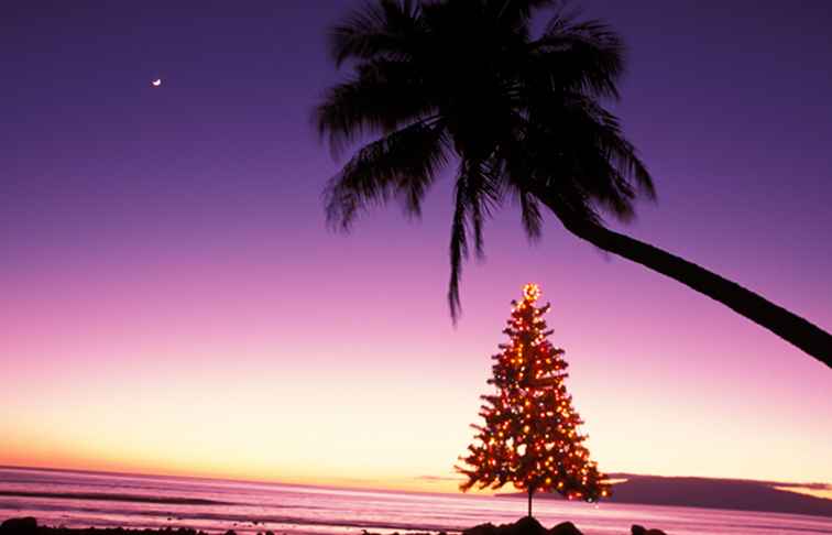 Hawaiiaanse Kerstmis en Nieuwjaarswoorden en -uitdrukkingen / Hawaii