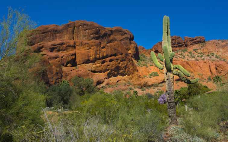 Vandra Camelback Mountain Trail i centrala Phoenix Arizona / Arizona