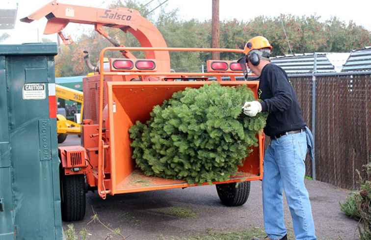 Come smaltire un albero di Natale a Phoenix / Arizona