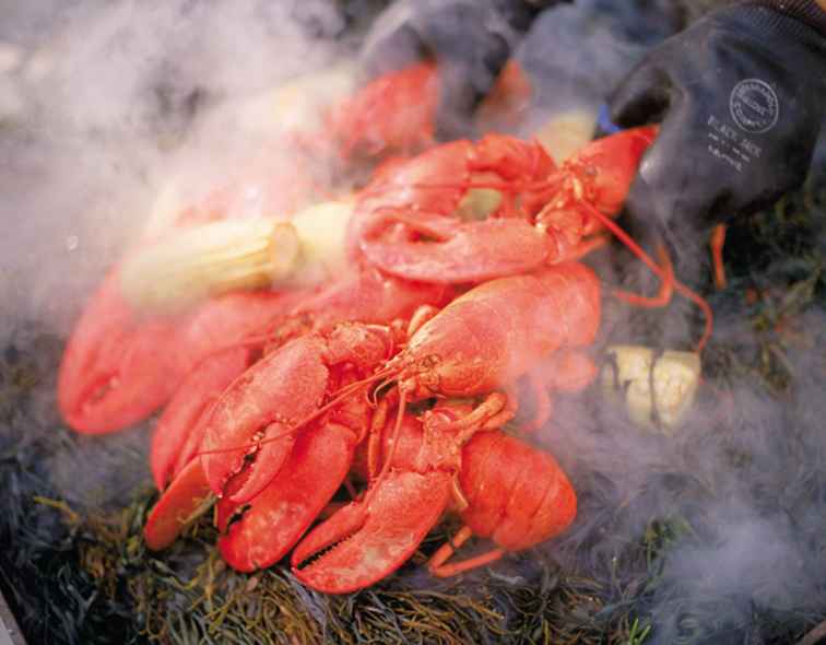 Comment faire un homard cuire la manière traditionnelle du Maine