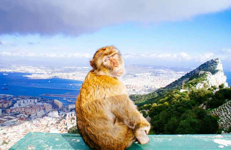 Hoe van Fuengirola naar Gibraltar te komen / Spanje