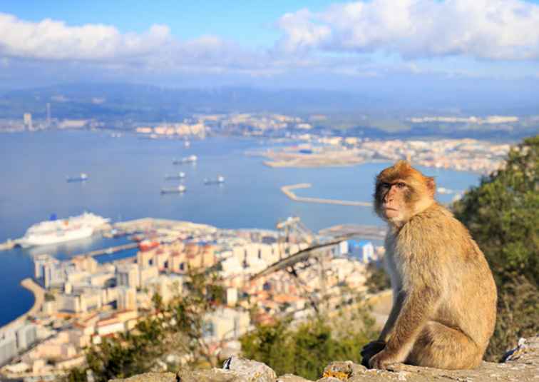 Wie man mit dem Bus oder Auto von Gibraltar nach Malaga kommt / Spanien