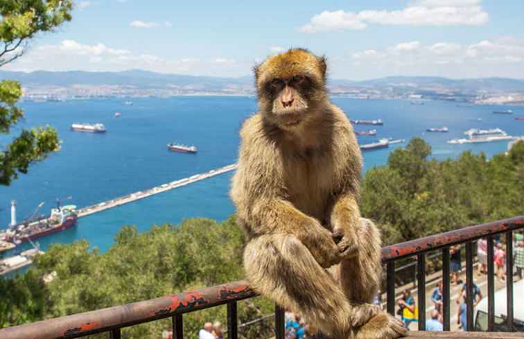 Hur man kommer från Sevilla till Gibraltar / spanien