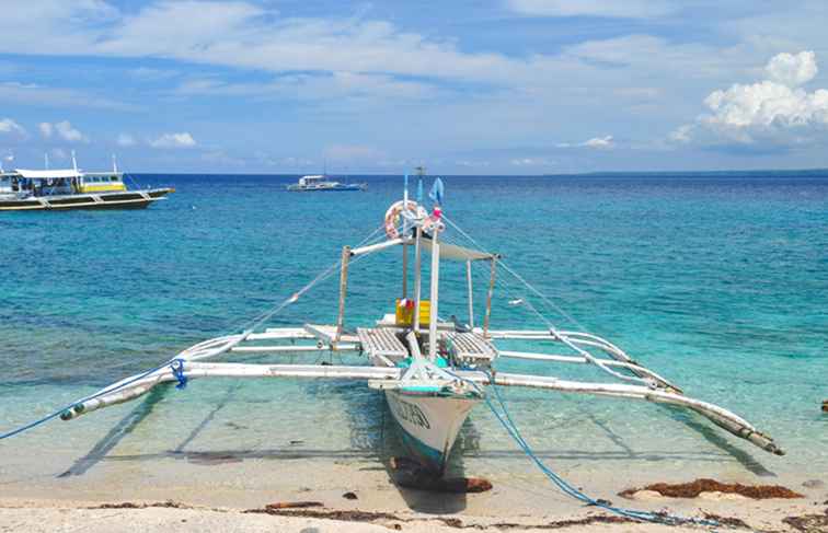 Hur man kommer till Apo Island på Filippinerna / Asien