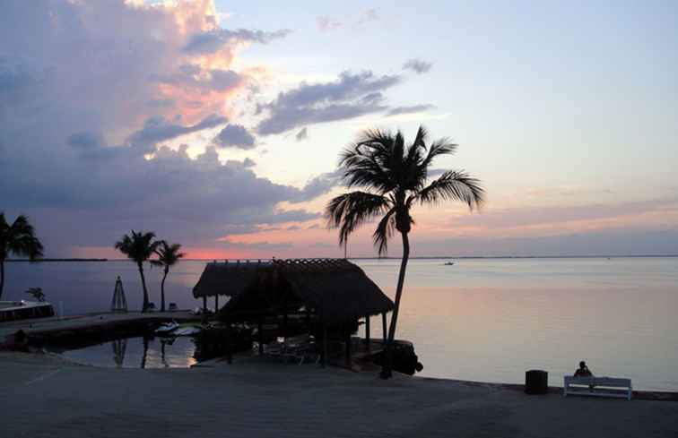 Key Largo Gemiddelde maandelijkse temperaturen en regenval / Florida