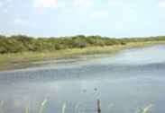 Riserva naturale di Laguna Atascosa / Texas