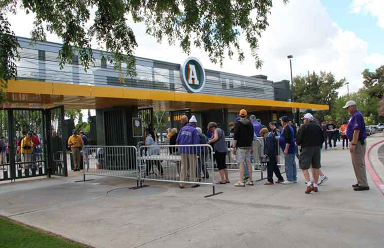 Lär dig allt om säkerhetsriktlinjerna för Cactus League Baseball / Arizona