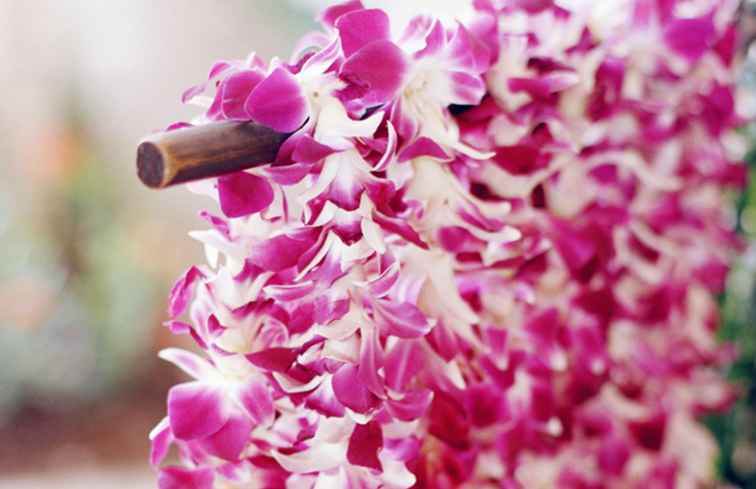 Lei Day in Hawaii / Hawaii