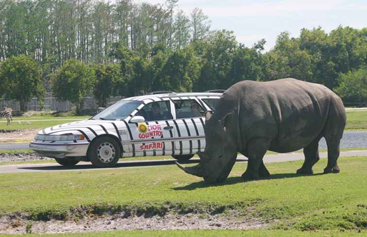 Lion Country Safari / Florida