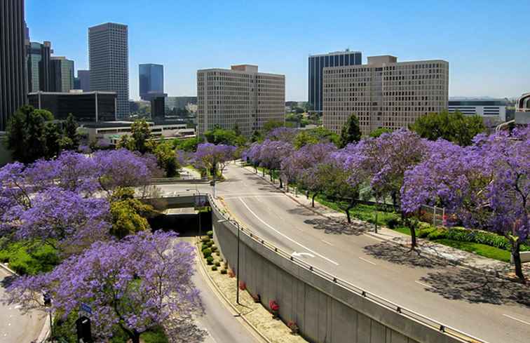 Los Angeles en junio / California