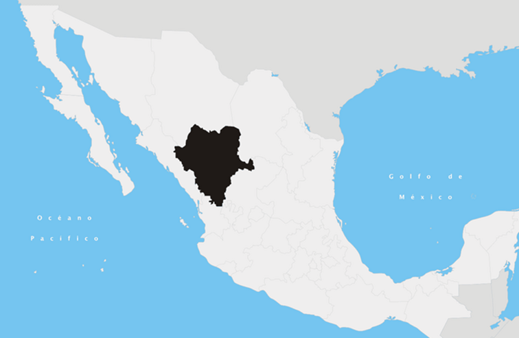 De staat Durango in Mexico / 