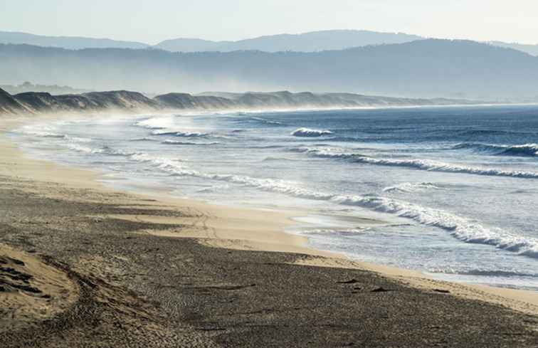 Spiagge nude della contea di Monterey / California