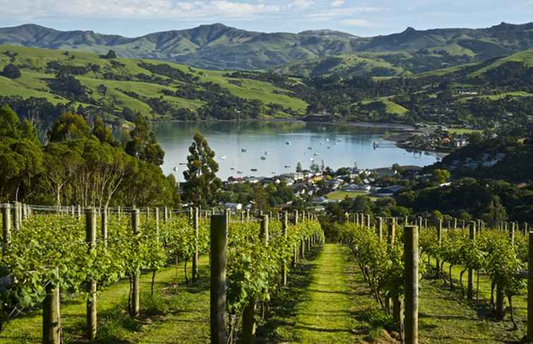 Varietà di uva da vino della Nuova Zelanda e stili di vino / Nuova Zelanda