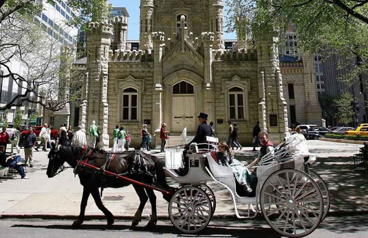 Noble Horse Carriages Chicago / Illinois