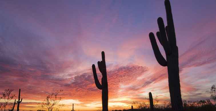 Officiële weermetingen op Sky Harbor Airport / Arizona