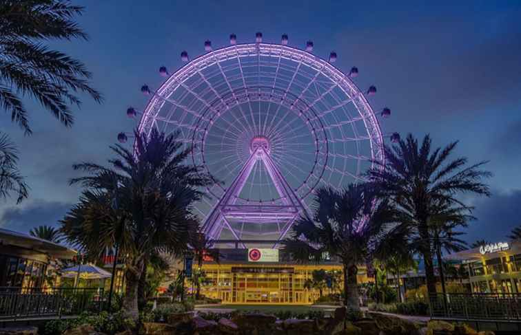 Orlando's Amazing Eye / Florida