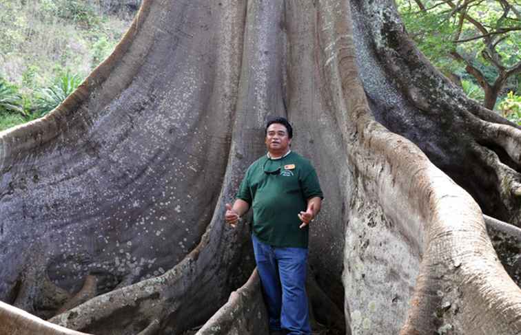 Översikt över Kauai topp botaniska trädgårdar / Hawaii