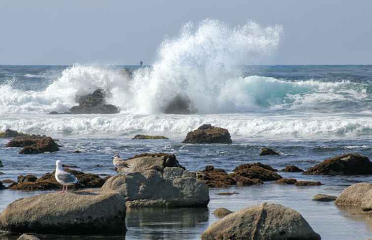 Fuga del fine settimana di Pacific Grove / California