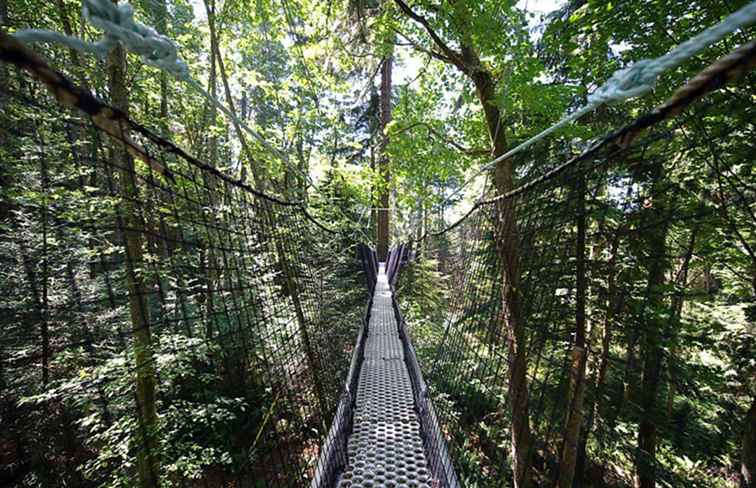 Pacific Spirit Regional Park La guía completa / Vancouver