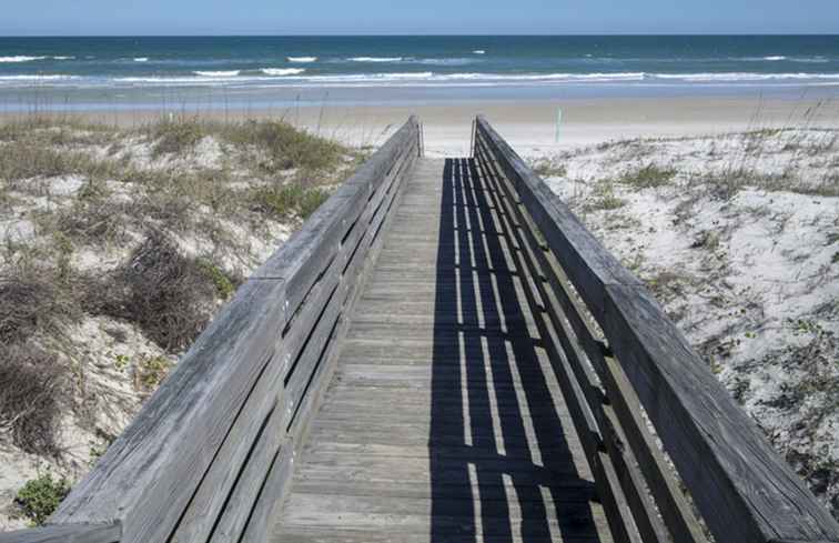 Haustierfreundliche Strände in Volusia County / Florida