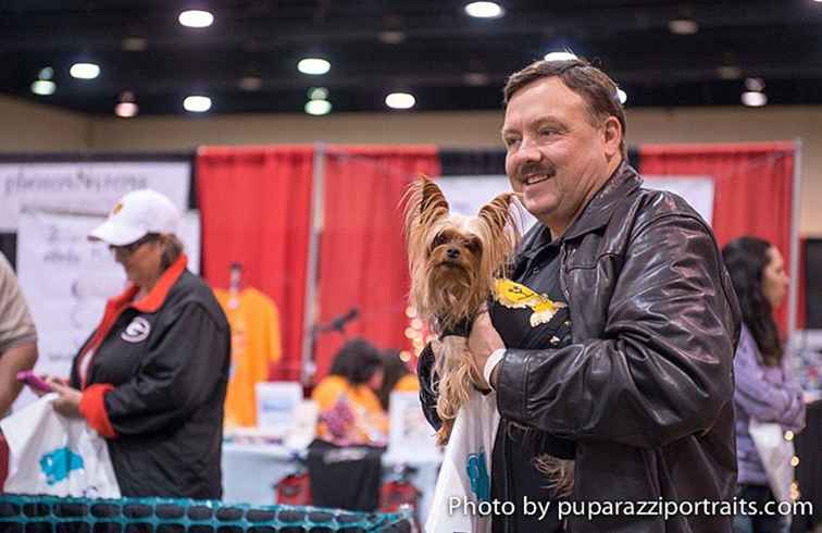 Phoenix Pet Expo 2017 / Arizona