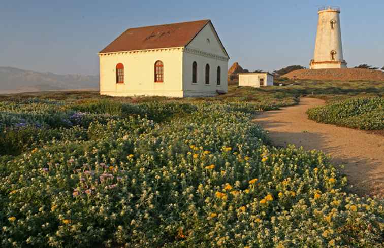 Phare de Piedras Blancas / Californie