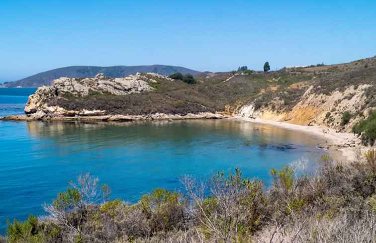 Pirate's Cove Beach / Californië