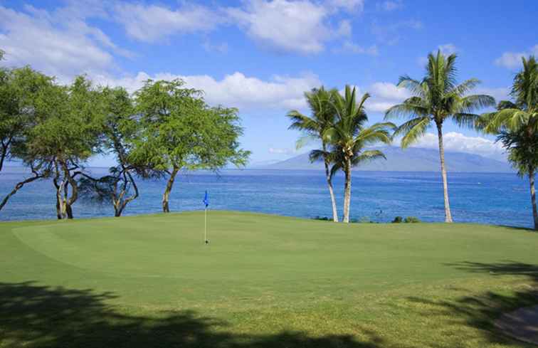 Planifique un crucero de golf a Hawai