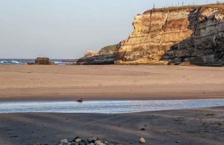 Rood wit en blauw strand / Californië